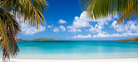 Praia de Tortugas