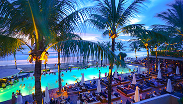 Vida noturna animada