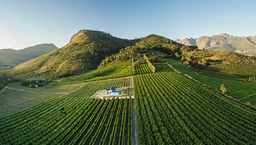 Belas paisagens e bons vinhos