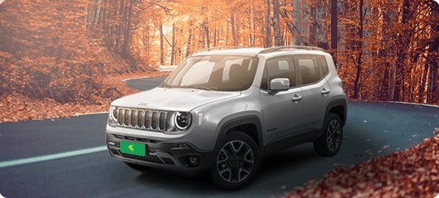 Jeep Renegade Sport 1.8 ou similar
